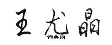 駱恆光王尤晶行書個性簽名怎么寫