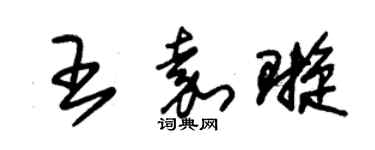 朱錫榮王嘉璇草書個性簽名怎么寫