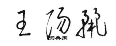 駱恆光王陽麗草書個性簽名怎么寫