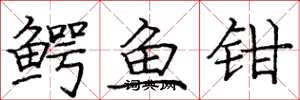 龐中華鱷魚鉗楷書怎么寫