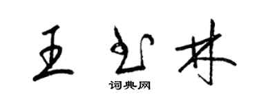 梁錦英王書林草書個性簽名怎么寫