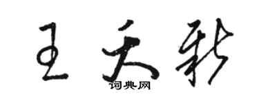 駱恆光王夭新草書個性簽名怎么寫