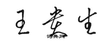 駱恆光王貴生草書個性簽名怎么寫