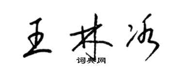 梁錦英王林冰草書個性簽名怎么寫