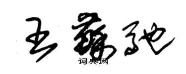 朱錫榮王蘇馳草書個性簽名怎么寫