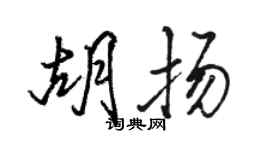 駱恆光胡揚行書個性簽名怎么寫