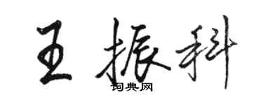 駱恆光王振科行書個性簽名怎么寫