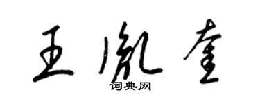 梁錦英王胤奎草書個性簽名怎么寫