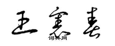 曾慶福王憲春草書個性簽名怎么寫