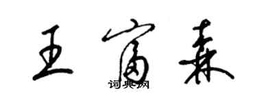 梁錦英王富森草書個性簽名怎么寫