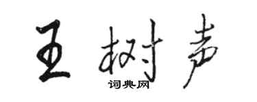 駱恆光王樹聲行書個性簽名怎么寫