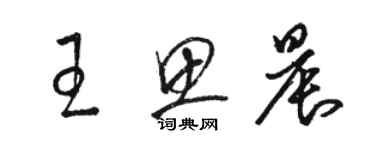 駱恆光王思晨草書個性簽名怎么寫