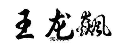 胡問遂王龍飆行書個性簽名怎么寫
