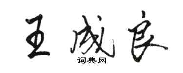 駱恆光王成良行書個性簽名怎么寫