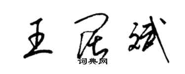 梁錦英王闊斌草書個性簽名怎么寫