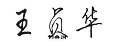 駱恆光王貞華行書個性簽名怎么寫