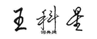 駱恆光王科星行書個性簽名怎么寫