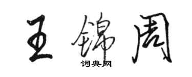 駱恆光王錦周行書個性簽名怎么寫