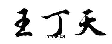 胡問遂王丁天行書個性簽名怎么寫