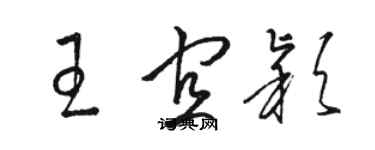 駱恆光王宜穎草書個性簽名怎么寫