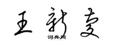 梁錦英王新慶草書個性簽名怎么寫