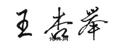 駱恆光王杏舉行書個性簽名怎么寫