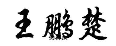 胡問遂王鵬楚行書個性簽名怎么寫