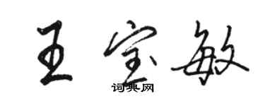 駱恆光王寶敏行書個性簽名怎么寫