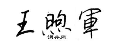 王正良王煦軍行書個性簽名怎么寫