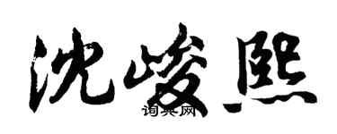 胡問遂沈峻熙行書個性簽名怎么寫