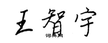 王正良王智宇行書個性簽名怎么寫