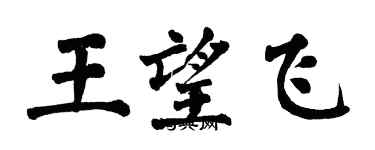 翁闓運王望飛楷書個性簽名怎么寫