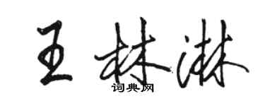 駱恆光王林淋行書個性簽名怎么寫