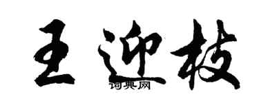 胡問遂王迎枝行書個性簽名怎么寫