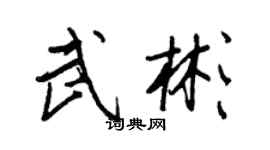 王正良武彬行書個性簽名怎么寫