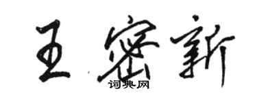 駱恆光王密新行書個性簽名怎么寫