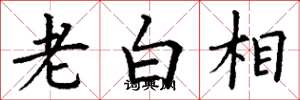 丁謙老白相楷書怎么寫