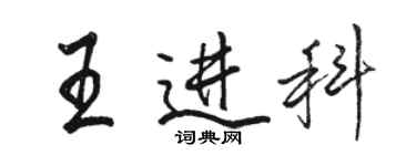 駱恆光王進科行書個性簽名怎么寫