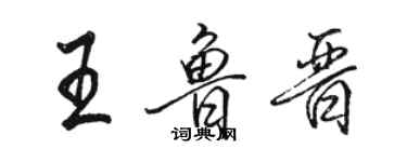 駱恆光王魯晉行書個性簽名怎么寫