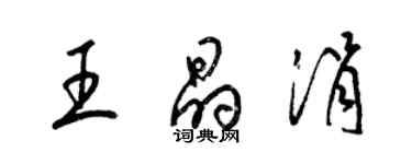 梁錦英王晶涓草書個性簽名怎么寫