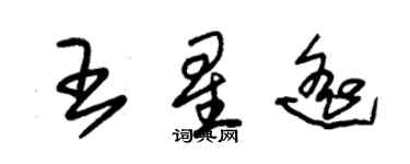 朱錫榮王星遙草書個性簽名怎么寫