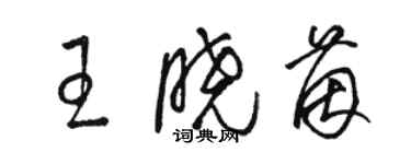 駱恆光王曉茵草書個性簽名怎么寫