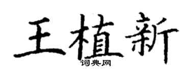 丁謙王植新楷書個性簽名怎么寫