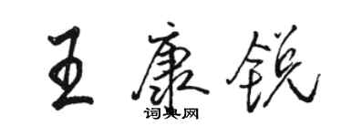 駱恆光王康銳行書個性簽名怎么寫