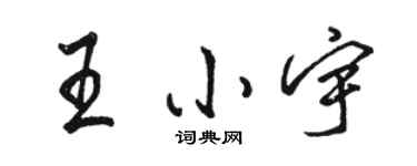 駱恆光王小宇行書個性簽名怎么寫