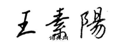 王正良王素陽行書個性簽名怎么寫