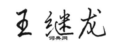 駱恆光王繼龍行書個性簽名怎么寫