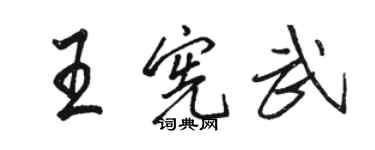 駱恆光王憲武行書個性簽名怎么寫