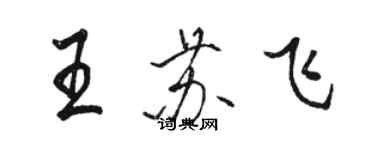 駱恆光王蘇飛行書個性簽名怎么寫