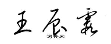 梁錦英王辰霞草書個性簽名怎么寫